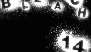 Bleach – Episódio 14 (T1)