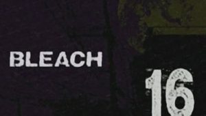 Bleach – Episódio 16 (T1)