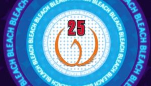 Bleach – Episódio 25 (T1)