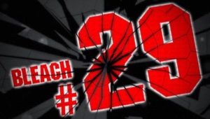 Bleach – Episódio 29 (T1)