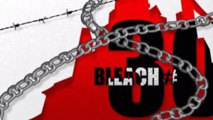 Bleach – Episódio 30 (T1)