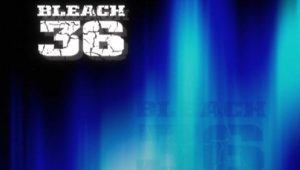 Bleach – Episódio 36 (T1)