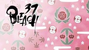 Bleach – Episódio 37 (T1)