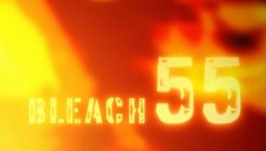 Bleach – Episódio 55 (T1)