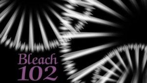Bleach – Episódio 102 (T1)