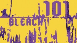Bleach – Episódio 101 (T1)