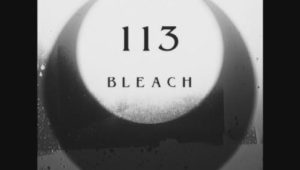 Bleach – Episódio 113 (T1)
