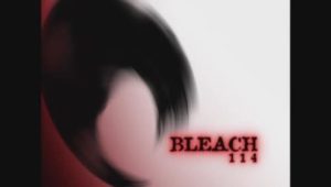Bleach – Episódio 114 (T1)
