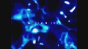 Bleach – Episódio 116 (T1)