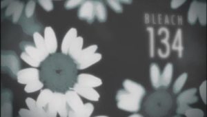 Bleach – Episódio 134 (T1)
