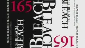 Bleach – Episódio 165 (T1)