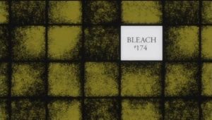 Bleach – Episódio 174 (T1)