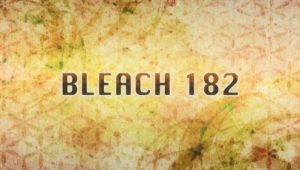 Bleach – Episódio 182 (T1)