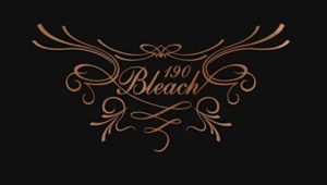 Bleach – Episódio 190 (T1)