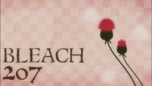 Bleach – Episódio 207 (T1)