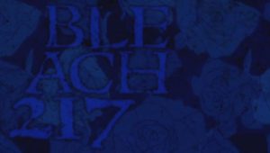 Bleach – Episódio 217 (T1)