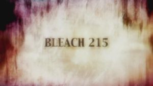 Bleach – Episódio 215 (T1)