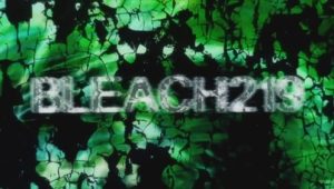 Bleach – Episódio 219 (T1)