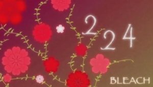 Bleach – Episódio 224 (T1)