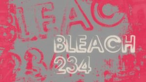 Bleach – Episódio 234 (T1)