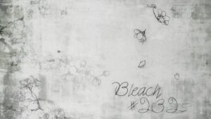 Bleach – Episódio 232 (T1)