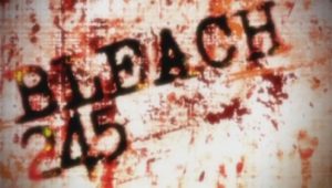 Bleach – Episódio 245 (T1)