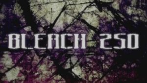 Bleach – Episódio 250 (T1)