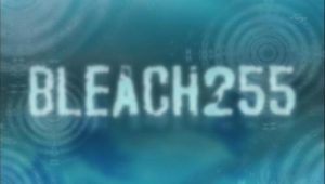 Bleach – Episódio 255 (T1)