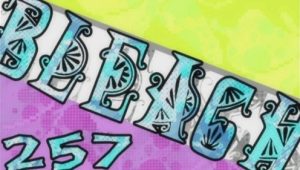 Bleach – Episódio 257 (T1)