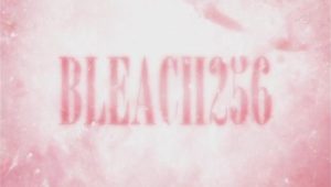 Bleach – Episódio 256 (T1)