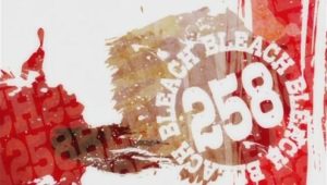 Bleach – Episódio 258 (T1)