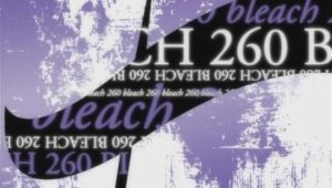 Bleach – Episódio 260 (T1)
