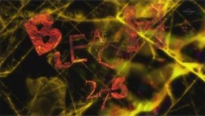 Bleach – Episódio 275 (T1)