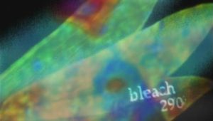 Bleach – Episódio 290 (T1)