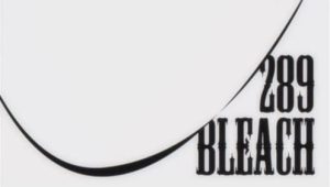 Bleach – Episódio 289 (T1)