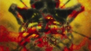 Bleach – Episódio 299 (T1)