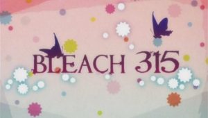 Bleach – Episódio 315 (T1)