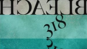 Bleach – Episódio 318 (T1)