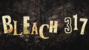 Bleach – Episódio 317 (T1)