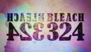 Bleach – Episódio 324 (T1)