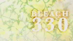 Bleach – Episódio 330 (T1)