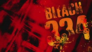 Bleach – Episódio 334 (T1)