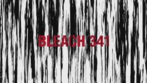 Bleach – Episódio 341 (T1)