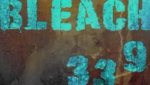 Bleach – Episódio 339 (T1)