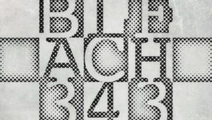 Bleach – Episódio 343 (T1)