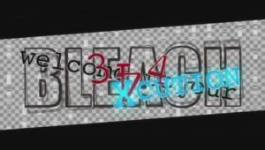 Bleach – Episódio 344 (T1)